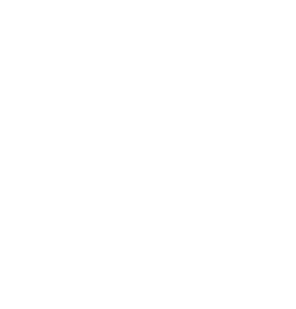 Grupo SLS
